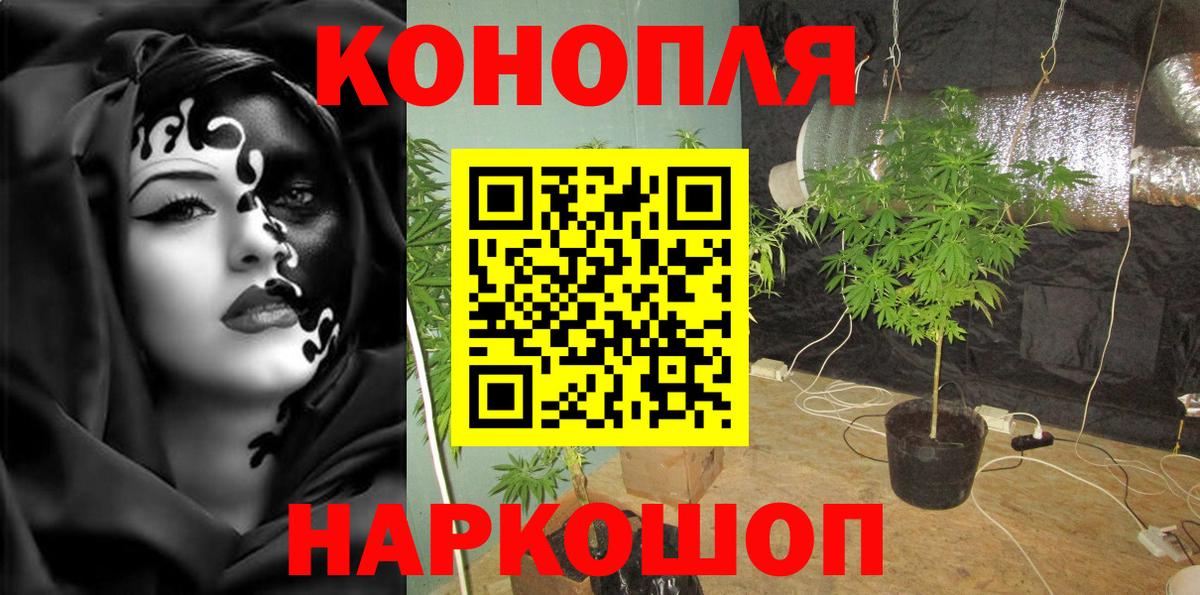 Бошки марихуана сатива  Вход с VPN  Каннабис ГИДРОПОН  Гулькевичи 